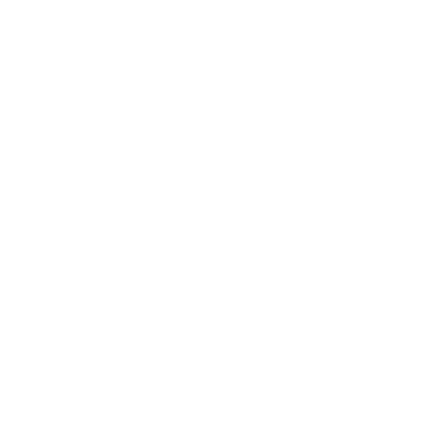 Natural Geo Home Furnishings logo