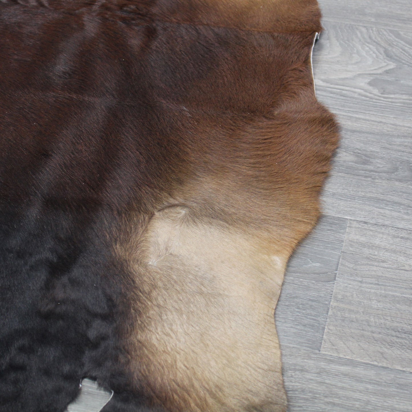 Natural Geo Dark Brown/Brown Cowhide Animal Area Rug 5' 5" x 5' 10"