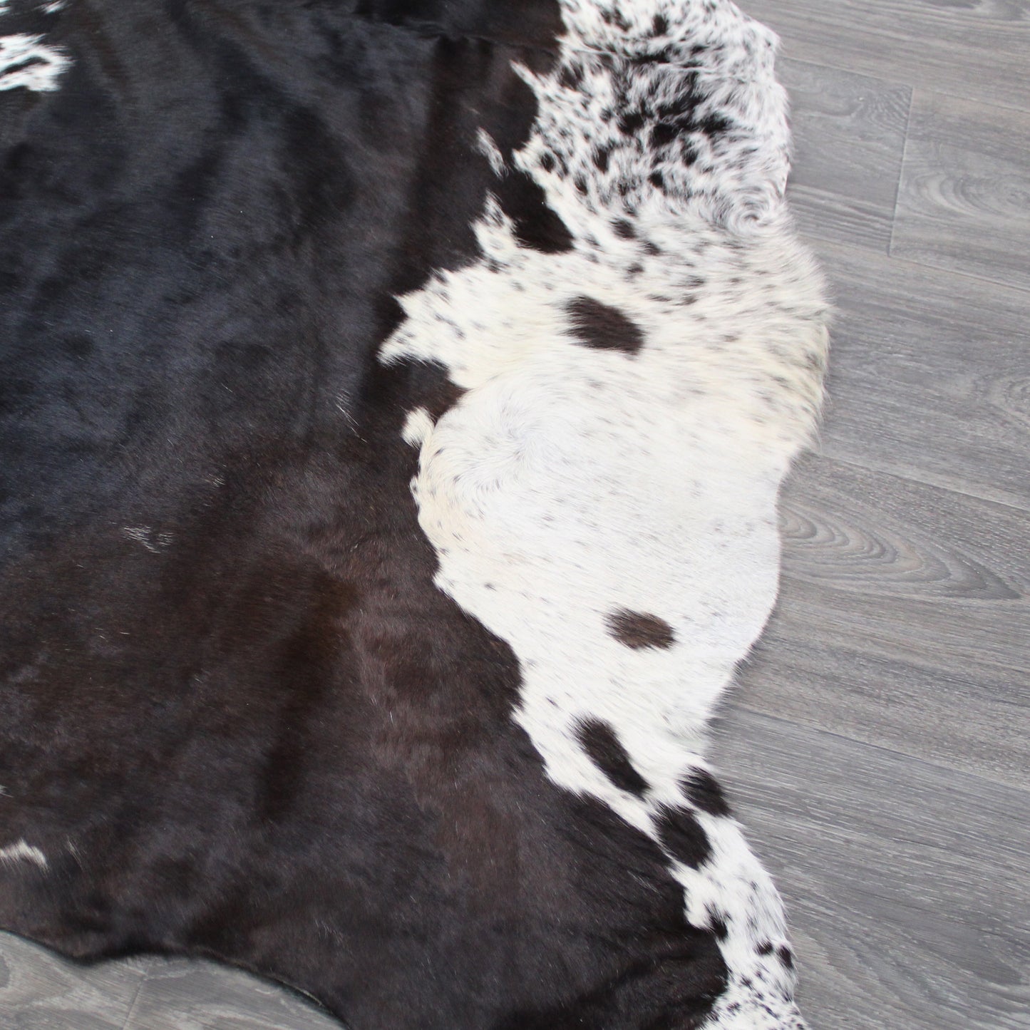 Natural Geo White/Dark Brown Cowhide Animal Area Rug 5' 4" x 6'