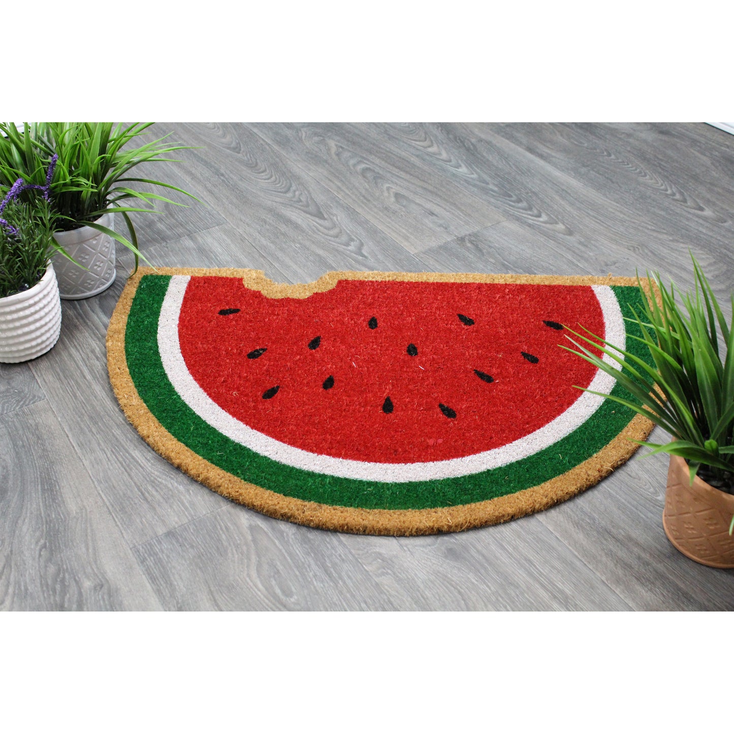 Natural Geo Island Bitten Watermelon Red/Green Natural Coir Door Mat 20 x 31"